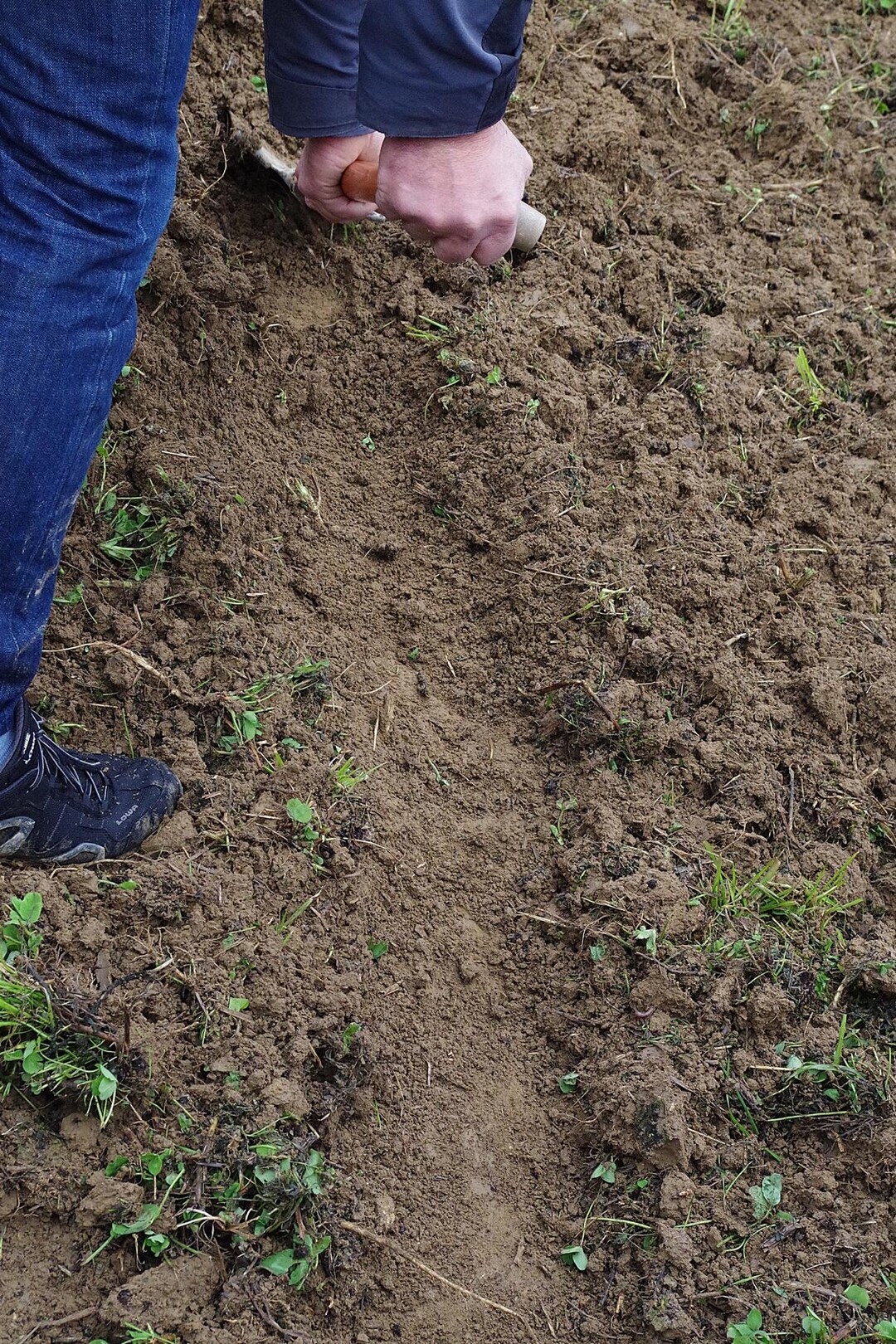 Das Bodenprofil ist flchig, leicht gewellt und fr ein oberflchliches Grubbern etwas tief. Der hinterlassene Boden ist relativ fein. "Das Gert enterdet sogar einige Wurzeln", merkt Kern an.