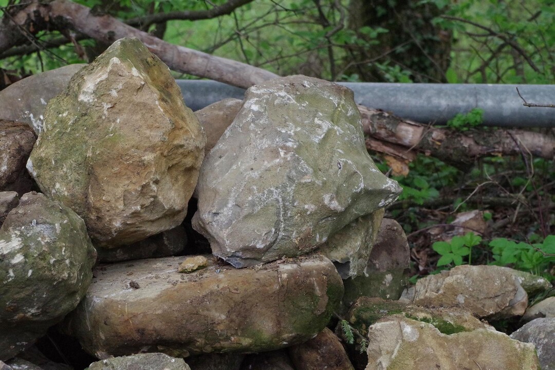 Steinhaufen am Feldrand sind ein Zuhause fr Eidechsen und kleine Suger wie Mauswiesel.