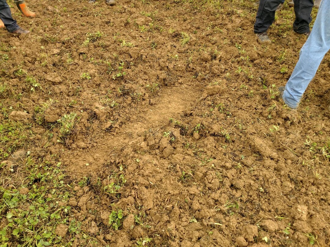 Der TGA 300 schneidet, wie der groe Bruder TGA 500, sehr flchig. Die anwesenden Landwirte zeigten sich mit dem gleichmig flachen Horizont zufrieden. 