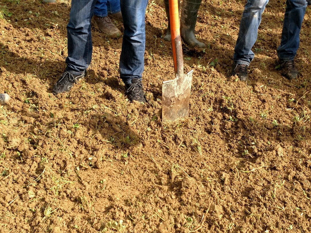 Die Frse hat eine Tiefenfhrung und arbeitet gleichmig flach. Sie verstopft trotz Feuchte nicht, und das, was hintern rauskommt, ist "Extrem fein", sagt Jonathan Kern. Die lockere Erde und die Pflanzenreste knnen nach der berfahrt gut antrocknen. Durch die gute Belftung wrden die Pflanzenreste laut dem Besitzer der Frse verrotten und faulen nicht.