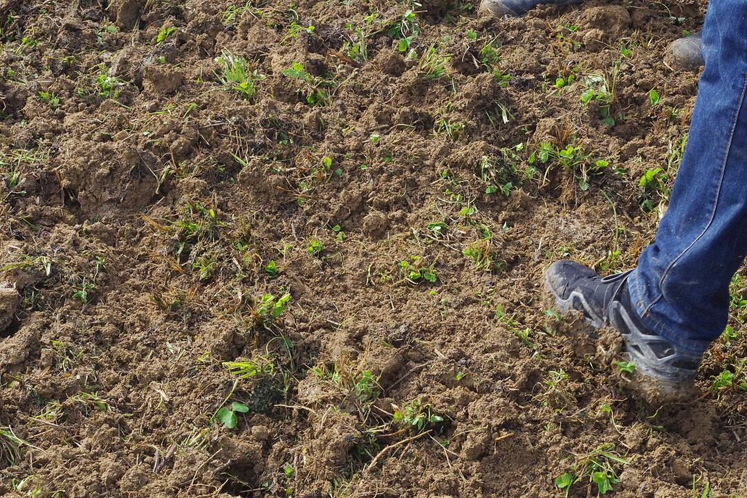 Ein klarer Horizont sei laut den Experten nicht sichtbar, da der Dynadrive wie viele Spaten in den Boden einsticht. Das Gert arbeitete laut Kern mig flchig und schneidend, was aber dem feuchten Boden am Versuchstag geschuldet sein kann. Zehn Kilometer pro Stunde seien laut einem Firmenvertreter empfehlenswert, damit der Dynadrive einwandfrei arbeitet. "Das Potential fr den Dynadrive sehe ich auf trockenem Boden, um die Erde anzureien und einen ersten Horizont fr einen flach schneidenden Grubber zu bilden", erklrt Kern.