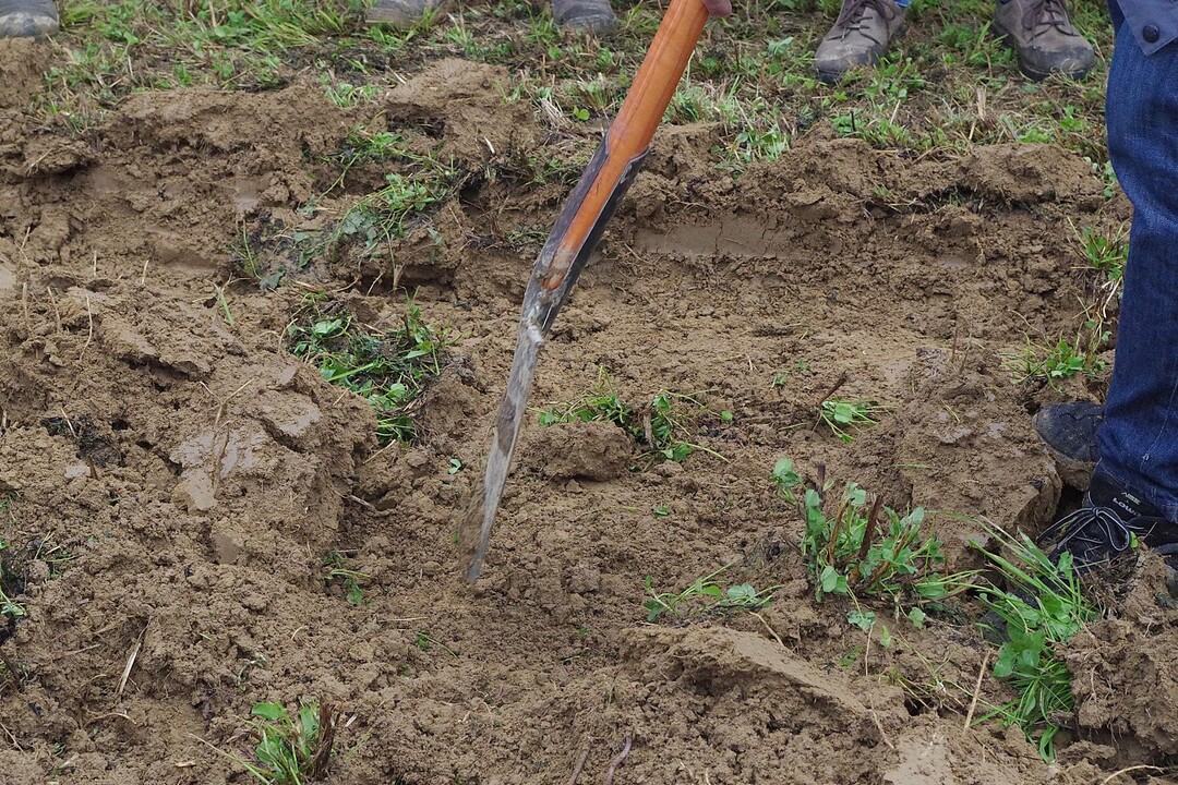 Laut Hersteller muss der Pflug den Boden brechen statt schlen, damit er nicht schmiert und im Boden Poren offen lsst. Eine ausreichende Geschwindigkeit ist wichtig, damit die gebrochenen Stcke vollstndig gewendet sind. Andererseits lassen brechende Pflge nach Kerns Aussage generell einen etwas ungleichmigeren Horizont zurck. 