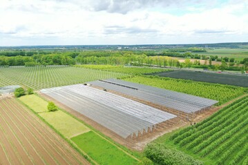 Durch das neue EEG wurden die besonderen Solaranlagen, dazu zählt auch APV, in die gleichen Ausschreibungen wie die „normalen“ Freiflächenanlagen aufgenommen.
