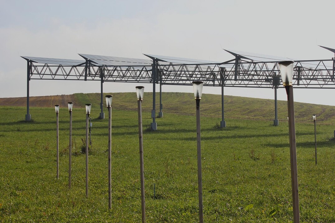  Unter der APV-Anlage war die Sonneneinstrahlung rund 30 % schwcher und auch die Bodentemperatur war verringert  vermutlich hat das zu positiven Ertrgen im heien Jahr 2018 im Vergleich zur nicht berdachten Referenzflche beigetragen. 