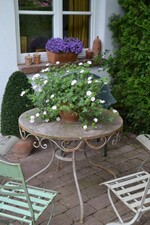 Gartenfahrt Nord am 25. Juni 2015  Garten Röhm Walldorf