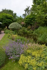 Gartenfahrt Nord am 25. Juni 2015  Garten Röhm Walldorf