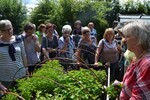Gartenfahrt Nord am 25. Juni 2015  Park der Vielfalt PH Heidelberg