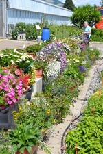 Gartenfahrt Nord am 25. Juni 2015 Versuchsanstalt Gartenbau Heidelberg