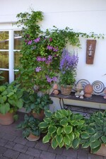 BWagrar Gartenfahrt am 1.7. 2015 Garten Röhm Walldorf