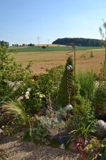 BWagrar Gartenfahrt am 1.7. 2015 Garten Hauk Ehrstädt