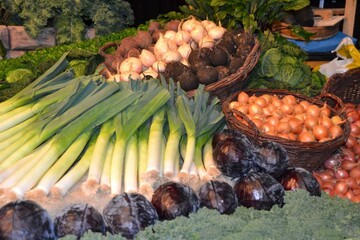 34. Pfälzer Gemüsebautag