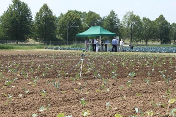 Blick ber den Sortenerhaltungsgarten auf dem Versuchsgelnde der Staatschule fr Gartenbau.