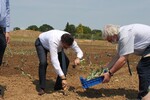 Baden-Württembergs Landwirtschaftsminister Peter Hauk pflanzt Krautsetzlinge, unterstützt vom Leiter der Staatsschule, Dr. Michael Ernst (rechts).