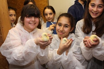 Ciegse, Azra und Zmra (v. l.) ist die Begeisterung ber die flauschigen Kken ins Gesicht geschrieben.