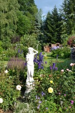 Im Rosengarten von Hannelore und Roland Birkel in Bußmannshausen