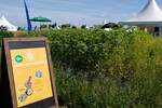 Ebenfalls im Fokus der Besucherinteressen: Bienenfreundliche Zwischenfruchtmischungen für die Fruchtfolge.