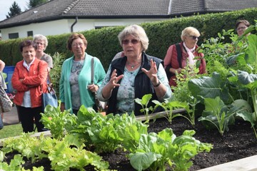 Inge Degenhardt in Sigmaringen-Laiz stellt den Besucherinnen ihr Hochbeet vor. Der Name ist da Programm, denn Inge Degenhardt kann sich gut an das Beet anlehnen und dabei komfortabel grtnern. Damit das Beet auch so hoch reicht, wird immer wieder breit mit Gartenabfllen wie sten und Kompost aufgefllt. Die Wrme von unten sorgt fr eine regelrechte Explosion bei den Beetpflanzen wie Salat und Co.