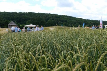 Rund 350 Veranstalter, Aussteller und Organisationen zeigten, was der ökologische Landbau zu bieten hat.