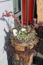 Im Garten von Marianne Schönle in Unlingen