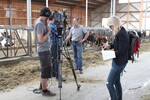 Regio-TV interviewt Hans-Georg Schwarz im Kuhstall