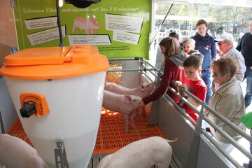 Das Schweinemobil - eine Attraktion fr Gro und Klein