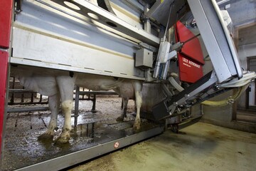Digitalisierung macht Landwirtschaft effizienter und kologischer