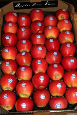 Die zweifarbige Sorte ist in einer Reihe europäischer Anbaugebiete auf dem Vormarsch.