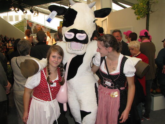 Kuh Karlotta wirbt fr Milch und Milcherzeugnisse