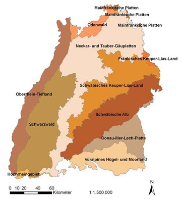 Naturrume 3. Ordnung: Die Vermittlung von Erstaufforstungsflchen ist in Baden-Wrttemberg innerhalb dieser Gebiete mglich. 