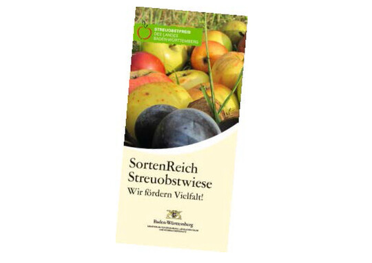 DER STREUOBSTPREIS
BADEN-WRTTEMBERG
zeichnet Streuobst-Engagierte aus, die Manahmen zum Erhalt und zur
Frderung der Sortenvielfalt umsetzen.