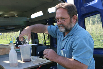 Funde in den Monitoringfallen haben seit längerer Zeit befürchten lassen, dass sich die Kirschessigfliege ausbreitet. Zwischenzeitlich gibt es deutliche Schäden in den Anlagen, selbst in Beständen, die behandelt wurden.