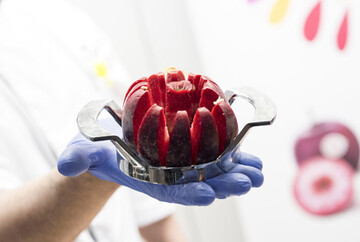 Erste Verkostungen von rotfleischigen Apfelsorten der Marke Kissabel verliefen vielversprechend. Erste kleine Mengen der neuen Marke werden fr die Kampagne 2019/20 erwartet. 