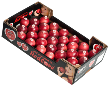 Die ersten Redlove-Äpfel sind auf dem Markt. Sie sind außen und innen rot