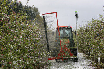 Prototyp des mit einer Kamera ausgersteten Fadengerts zur baumspezifischen Ausdnnung.