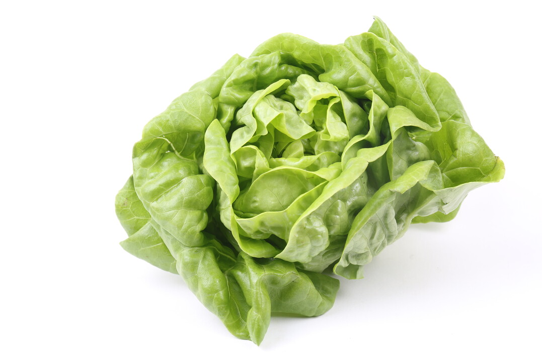 Foto: KYTan - shutterstock