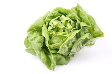 Foto: KYTan - shutterstock