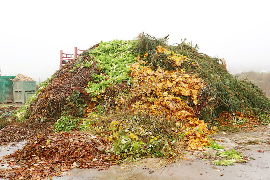 Die Kompostierung von Pflanzen ist ein zentrales Element bio-veganer Wirtschaftsweise.