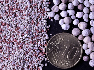 Mikrogranulate (links) eigenen sich zur Saatbanddüngung im Getreide.