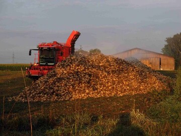 Ausnahmen vom Pflugverbot auf CCWasser1+2 -Schlgen sind aus witterungsbedingten Grnden bei sptrumenden Kulturen mglich, zum Beispiel bei verspteter Zuckerrbenernte.