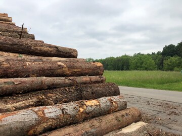 Die Lagerung von Schadholz auf landwirtschaftlichen Flchen kann Auswirkungen auf die Flchenfrderung im Gemeinsamen Antrag haben.