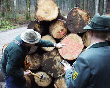 Der Verband der Sge- und Holzindustrie warnt vor einem vermeintlichen Preistreiben beim Rundholz.