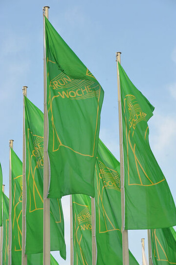 Die Flaggen der Grünen Woche sind in Berlin vom 21. bis 30. Januar aufgezogen.