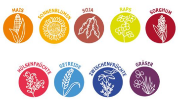 Das von Caussade und Euralis gegrndete Unternehmen Lidea bietet zuknftig eine breite Palette an Saatgut an.