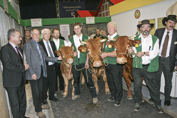 Zur Gruppe der Limpurger Rinder in Berlin gehren die Milchkuh Lilly von Jrgen und Josef Holl vom Riedhof in Heuchlingen, die untersttzt werden von Siegfried Kratzer und Albrecht Schupp, sowie die Mutterkuh Paulina mit Kalb Petra von Martin Munz, Untermnkheim. Zuchtleiter ist Dieter Kraft mit Dienstsitz in Ilshofen. 