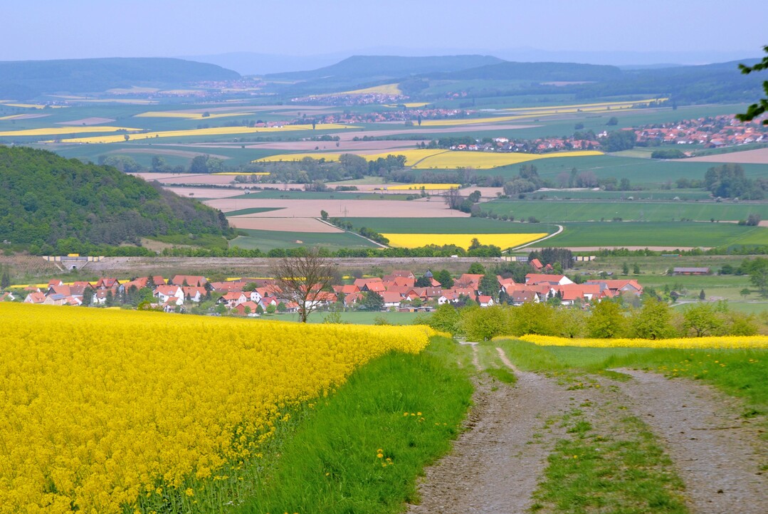   Biodiversit�tsschutz sollte verbindlich in die �ko-Zertifizierung aufgenommen werden, fordert der Agrar�kologe Prof. Teja Tscharntke. 