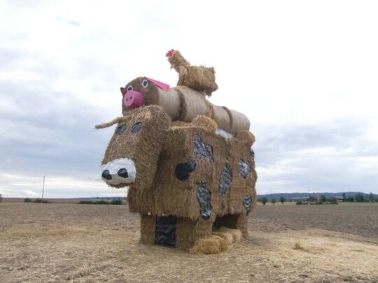 Ebenso preiswrdig die Haller Hauptfestmusikanten der Landjugend Schwbisch Hall.