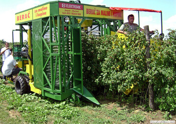 Ein "Mhdrescher" fr die maschinelle Ernte von Himbeeren und Brombeeren, entwickelt von der serbischen Firma SZR Elektronik. 