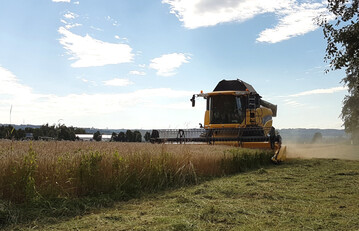  Trotz sptem Start und vielfacher Unterbrechung der Ernte ist ein groer Teil des Getreides gedroschen. Der DRV hat seine Ernteprognose fr Deutschland am 16. August 2021 beim Getreide auf 42,9 Millionen Tonnen und beim Raps auf 3,5 Millionen Tonnen nach unten angepasst.