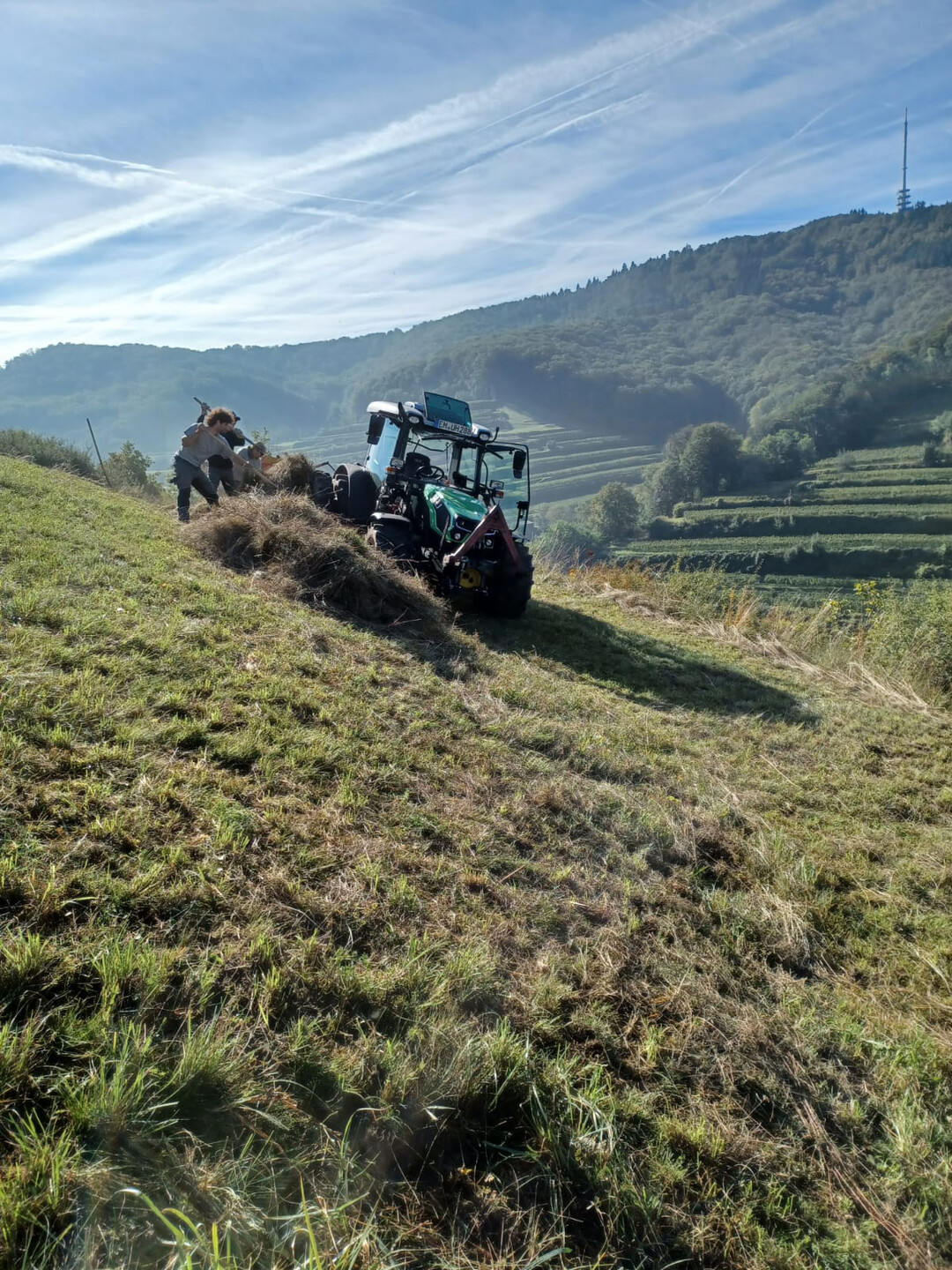   Mharbeiten am Steilhang: Die Pflege der artenreichen Wiesen im Kaiserstuhl erfordern spezielle Maschinenausstattung.