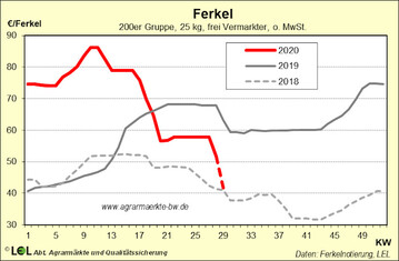 Die Ferkelerlse gingen in den letzten 4 Wochen um 16 Euro zurck.